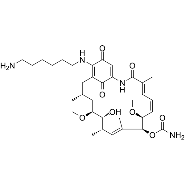 Aminohexylgeldanamycin (AHGDM) 485395-71-9